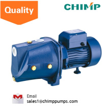 Electric Automatic Clean Water Pumps Hydraulic Pump